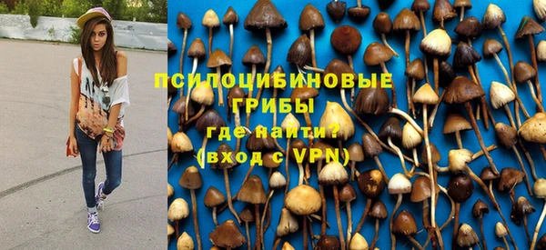 крисы Волоколамск